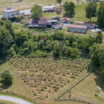 drone shot of forks of cheat